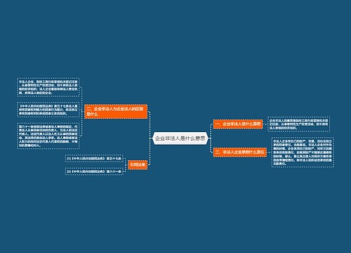 企业非法人是什么意思