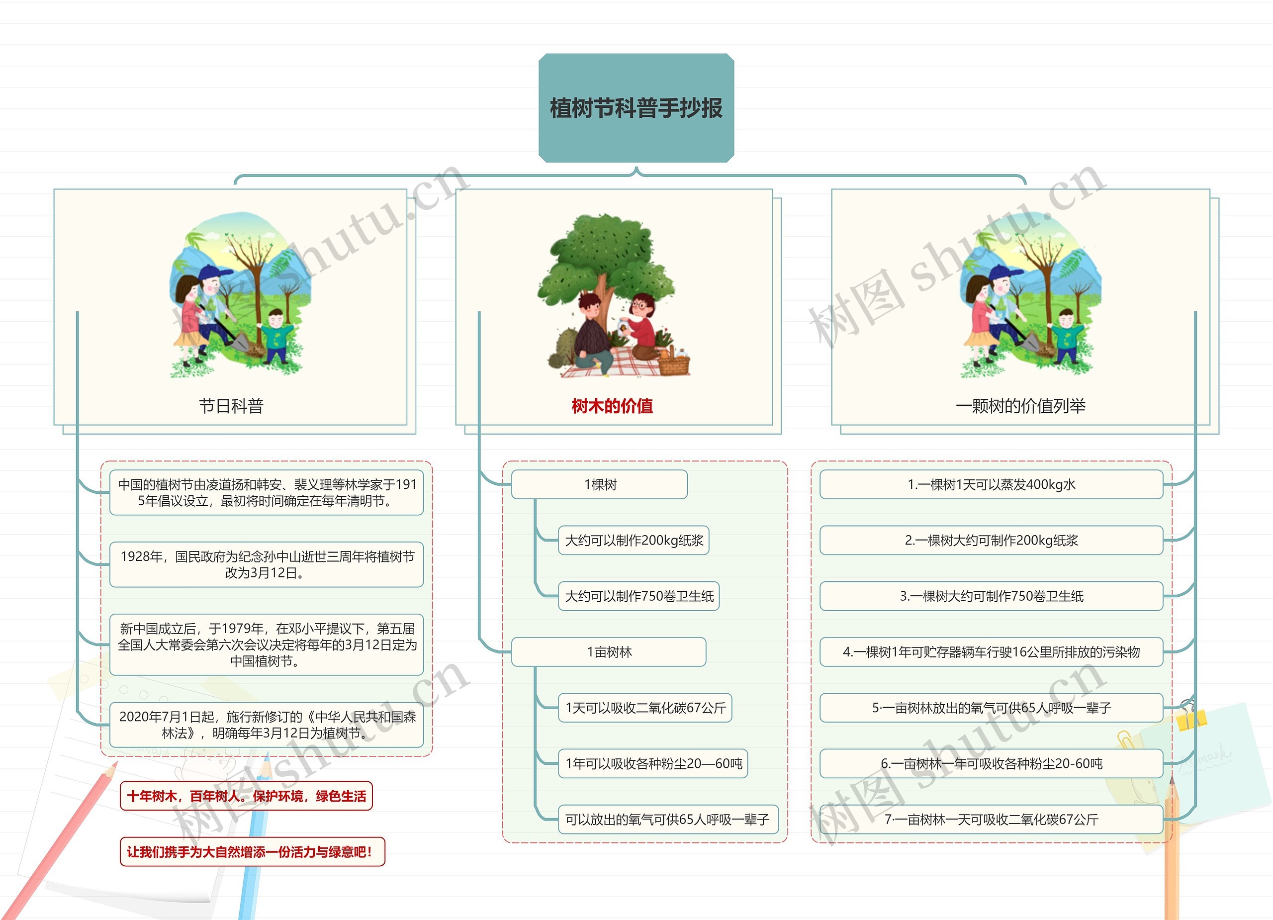 简约风格植树节科普手抄报