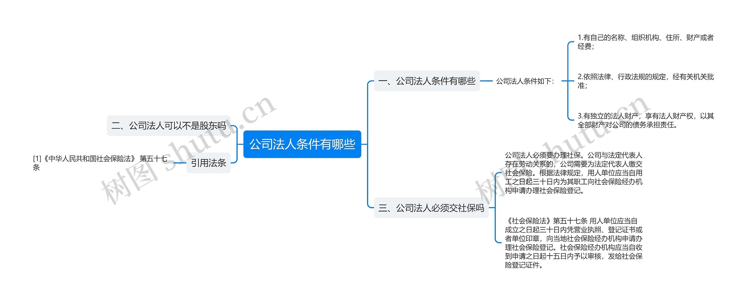 公司法人条件有哪些