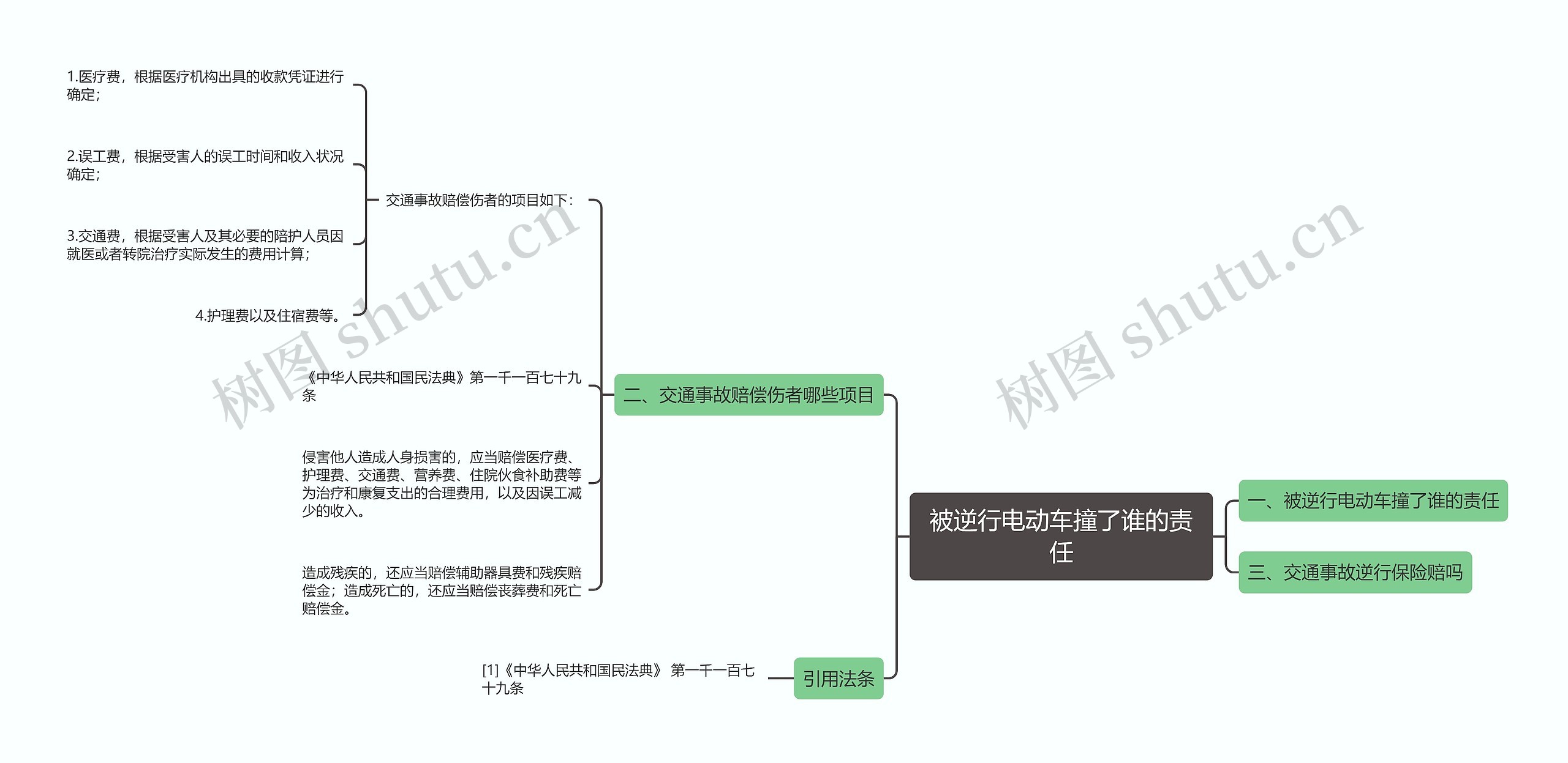 被逆行电动车撞了谁的责任