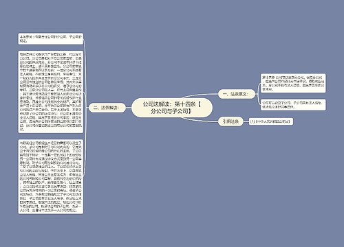 公司法解读：第十四条【分公司与子公司】