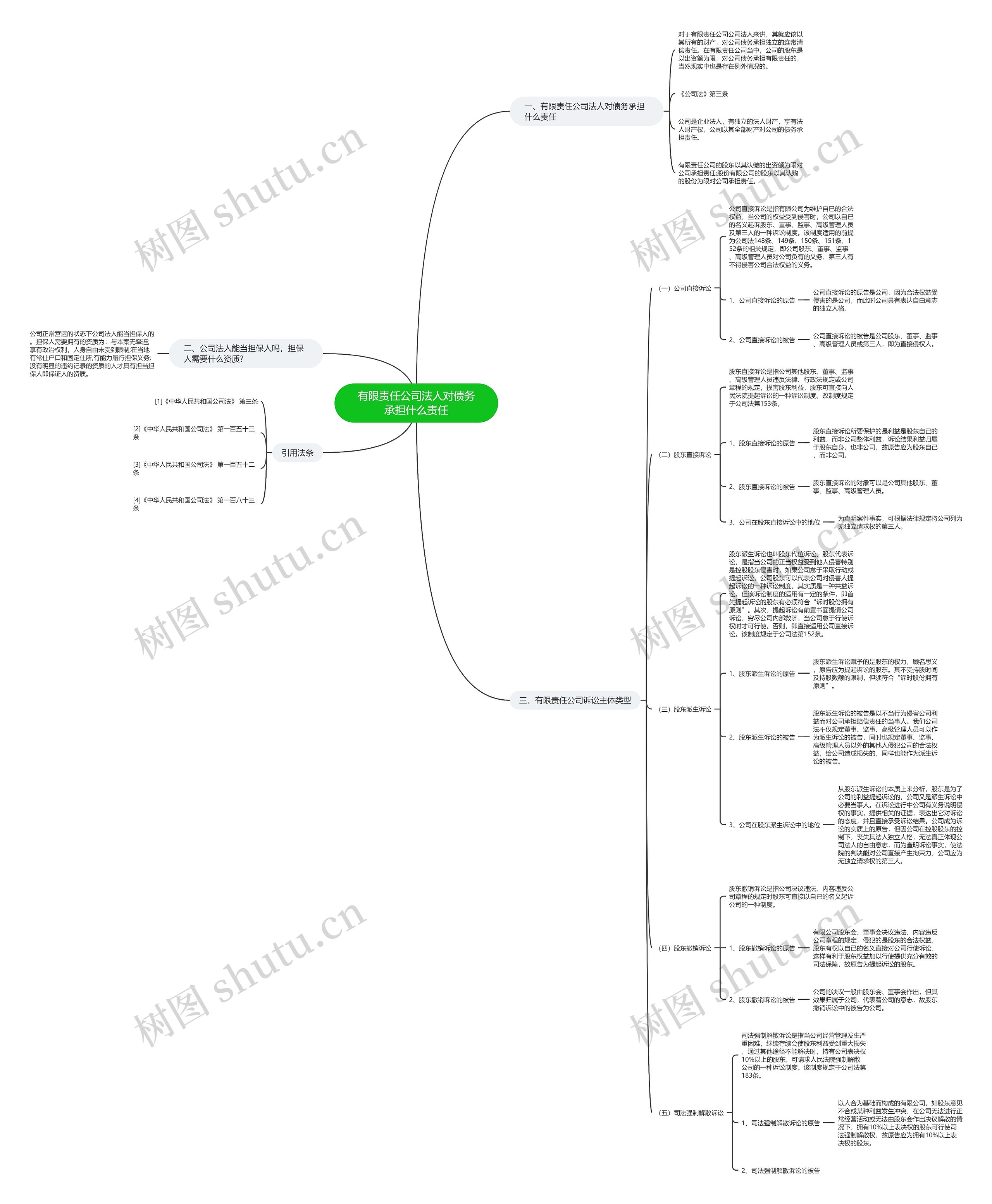 有限责任公司法人对债务承担什么责任