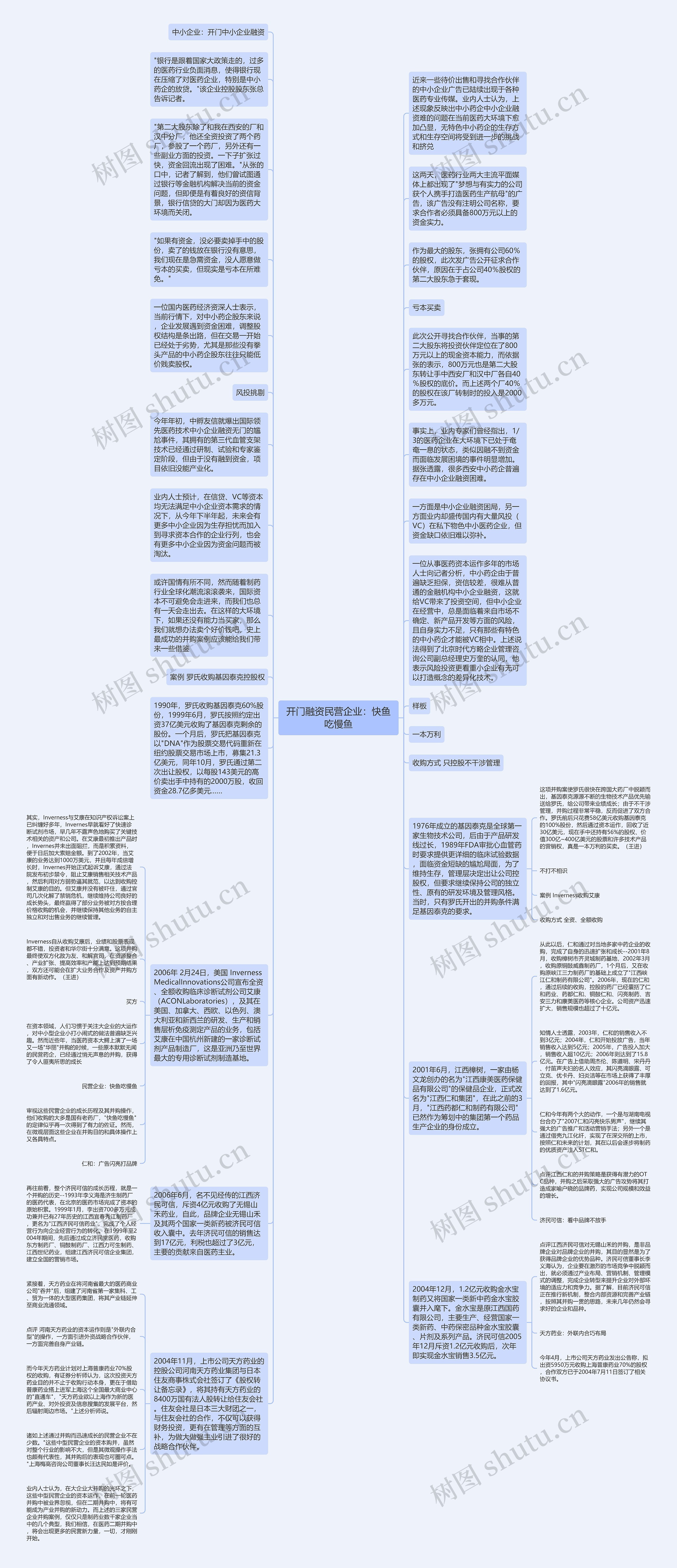 开门融资民营企业：快鱼吃慢鱼思维导图