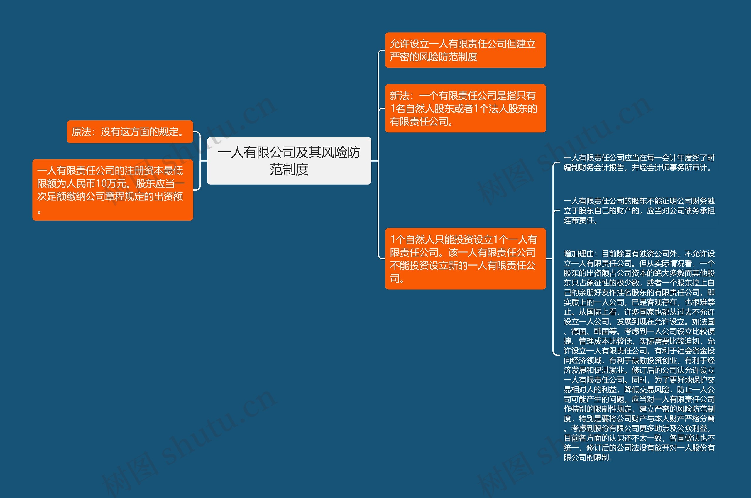 一人有限公司及其风险防范制度思维导图