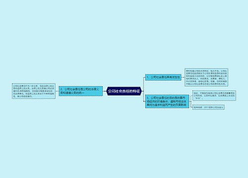 公司社会责任的特征