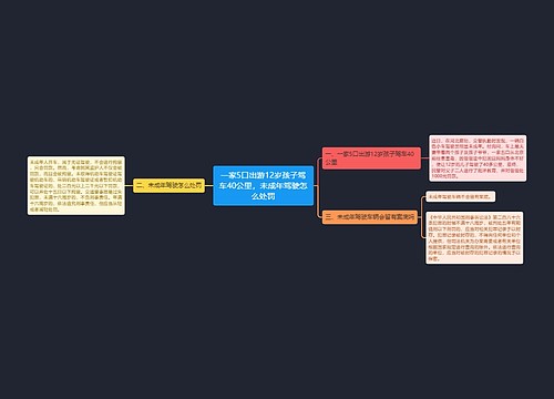 一家5口出游12岁孩子驾车40公里，未成年驾驶怎么处罚