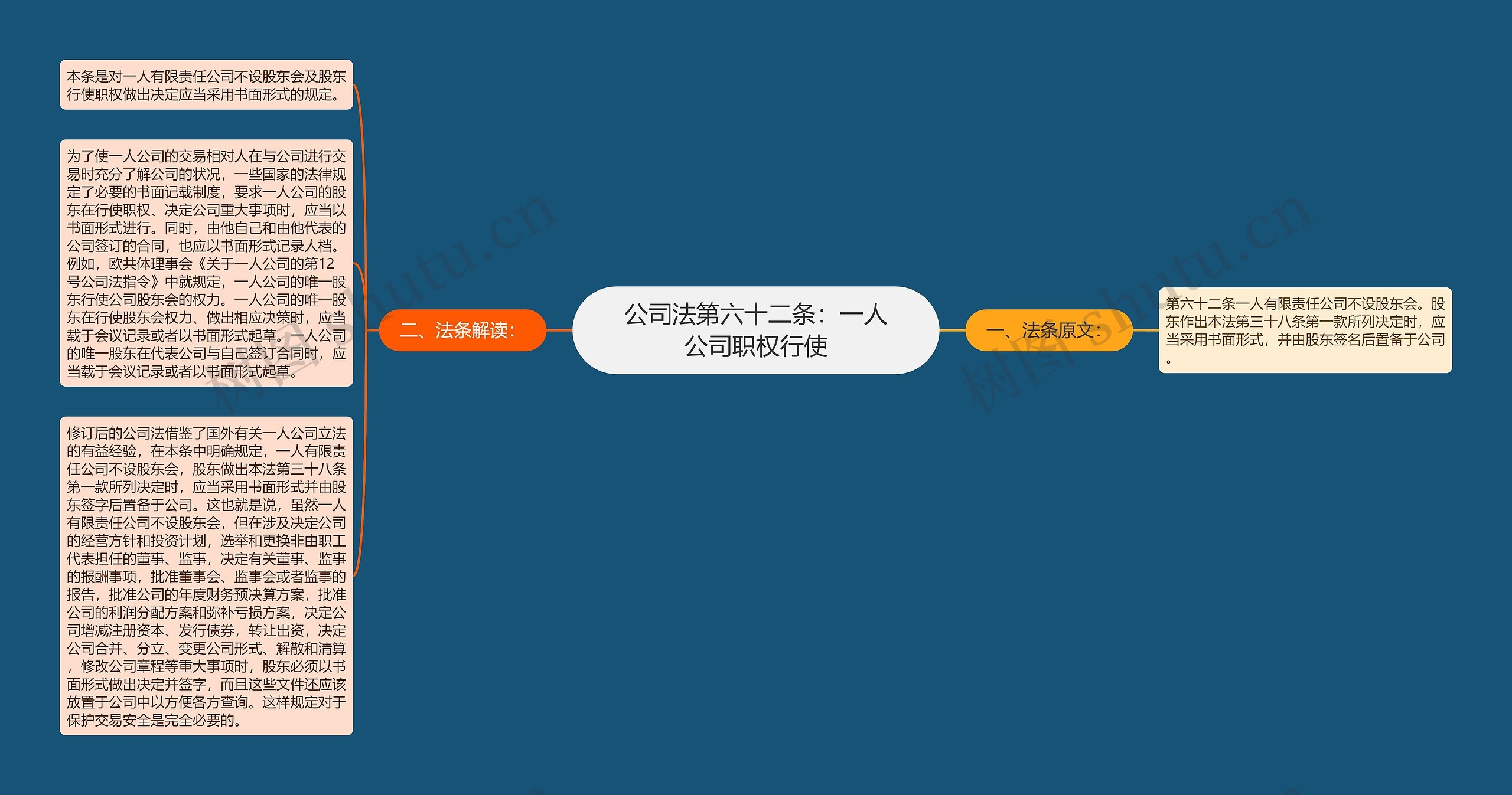 公司法第六十二条：一人公司职权行使思维导图