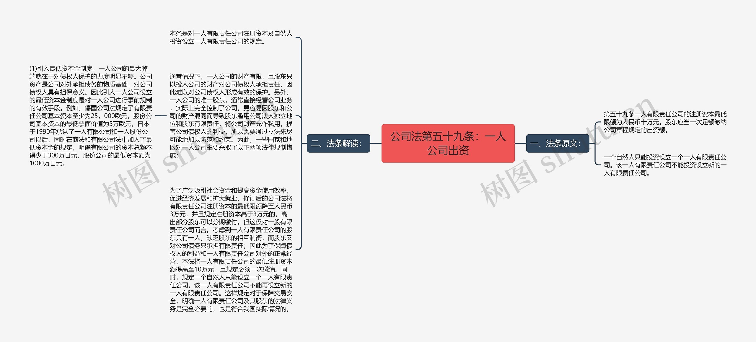 公司法第五十九条：一人公司出资思维导图