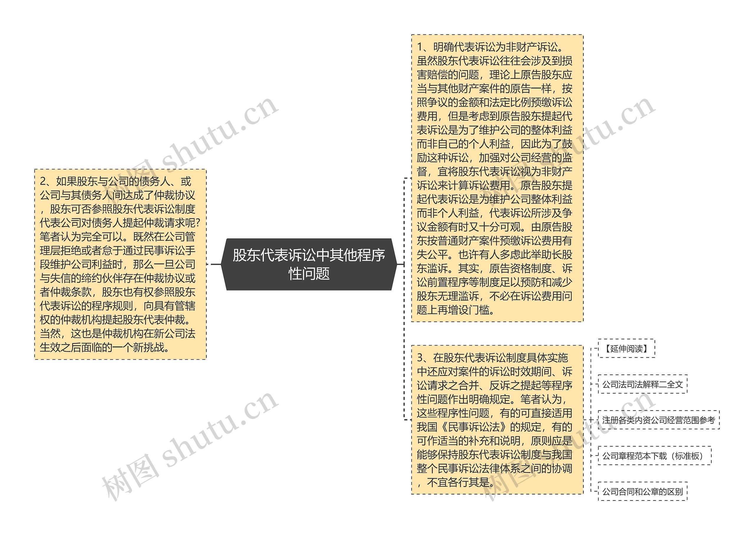 股东代表诉讼中其他程序性问题思维导图