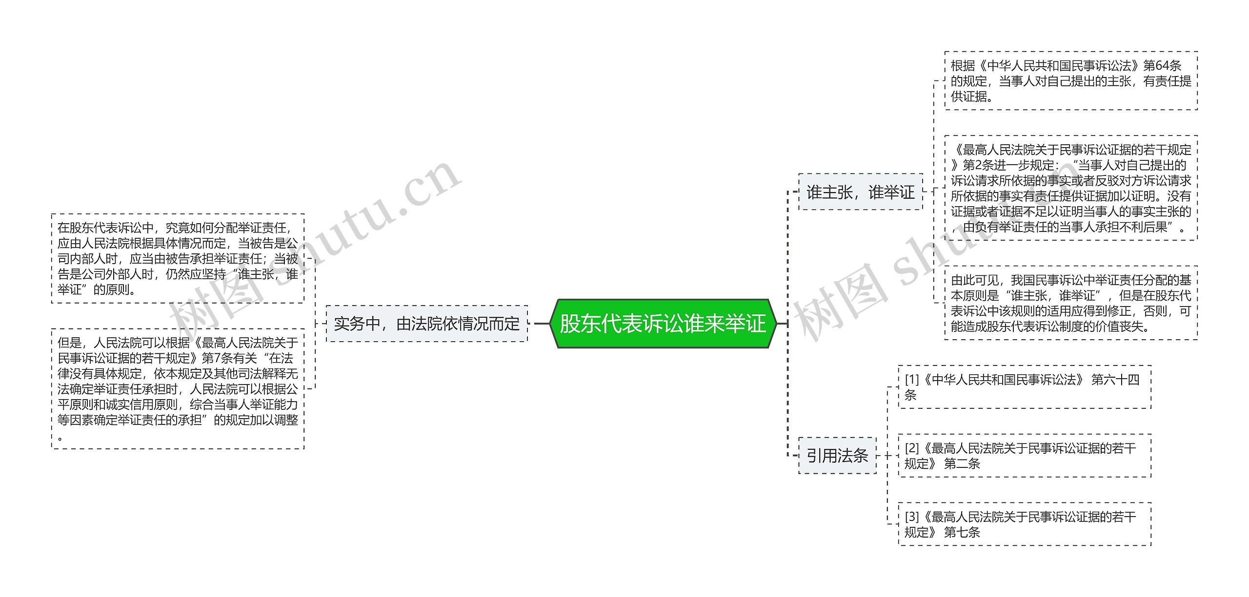 股东代表诉讼谁来举证思维导图