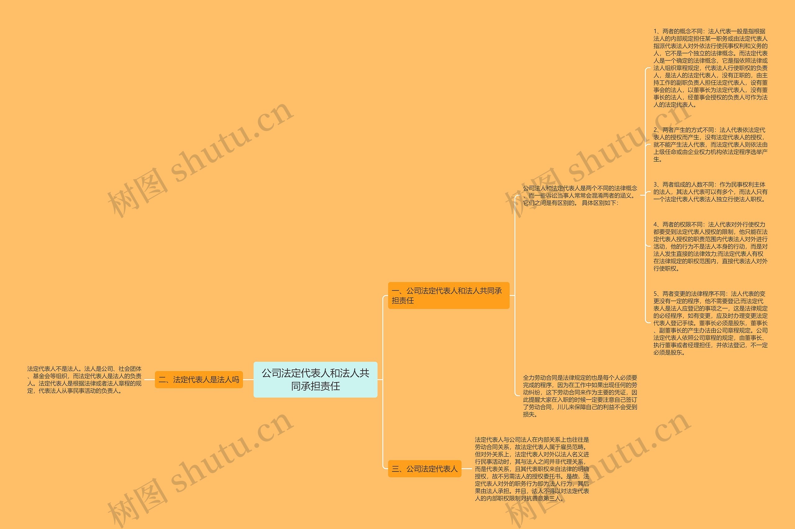 公司法定代表人和法人共同承担责任思维导图