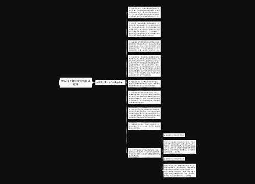 新股网上竞价发行的具体程序