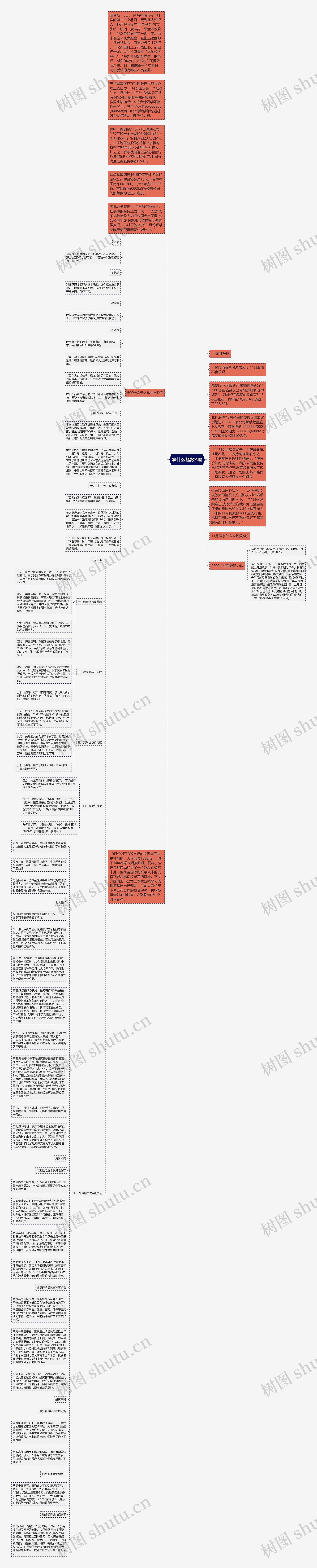 拿什么拯救A股思维导图