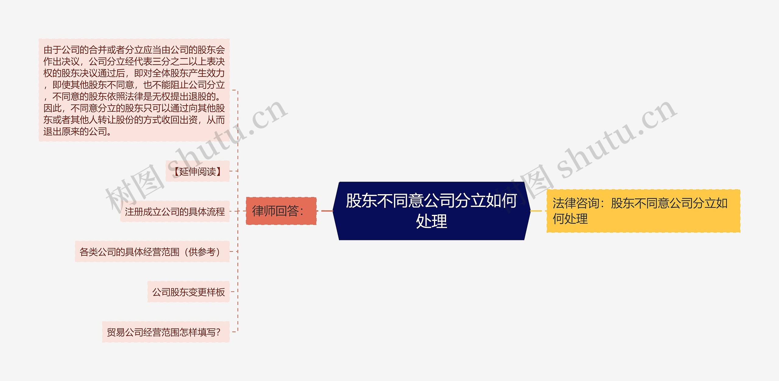 股东不同意公司分立如何处理思维导图