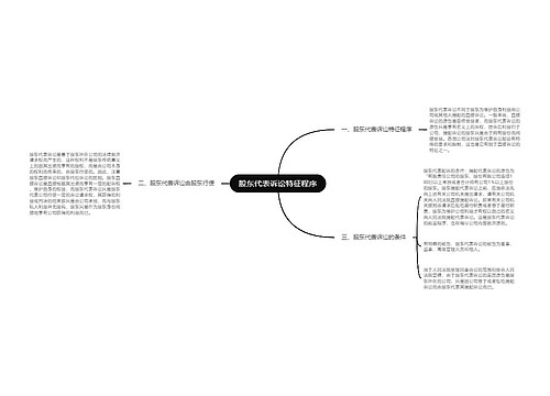 股东代表诉讼特征程序