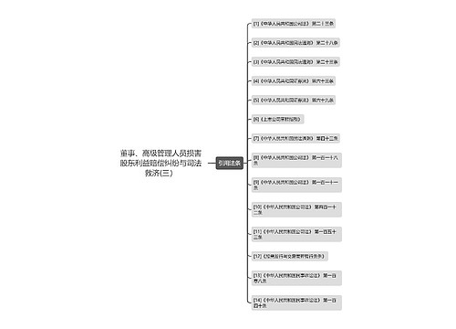 董事、高级管理人员损害股东利益赔偿纠纷与司法救济(三）