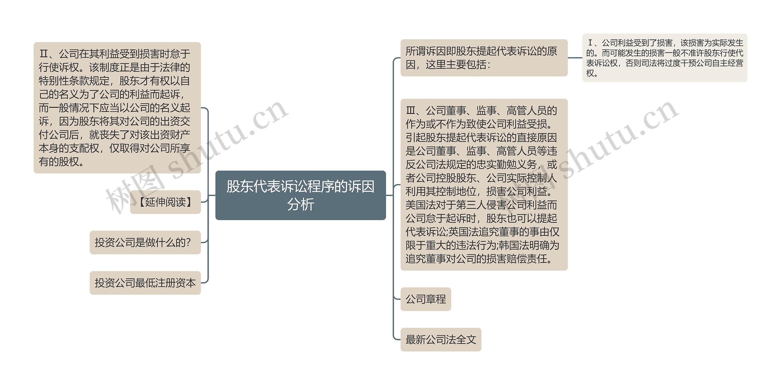 股东代表诉讼程序的诉因分析思维导图