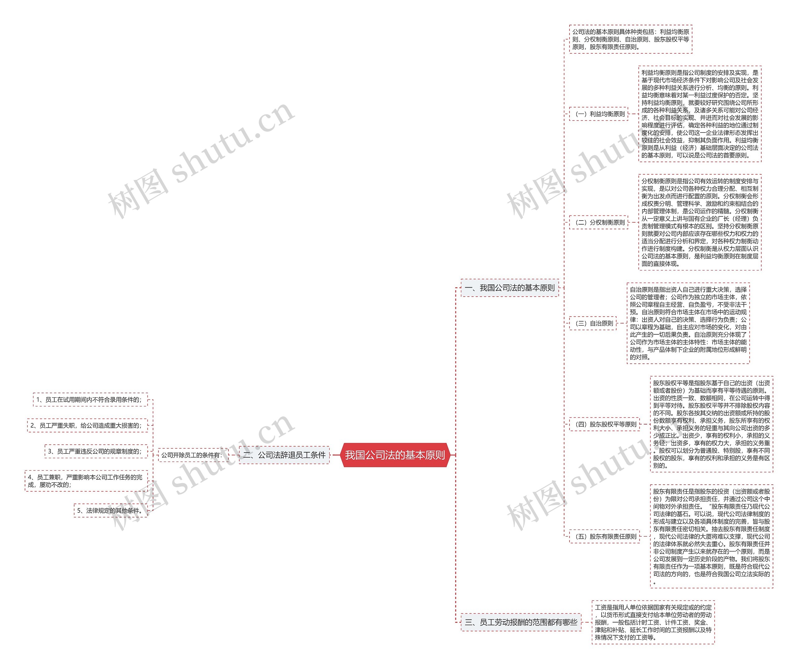 我国公司法的基本原则思维导图