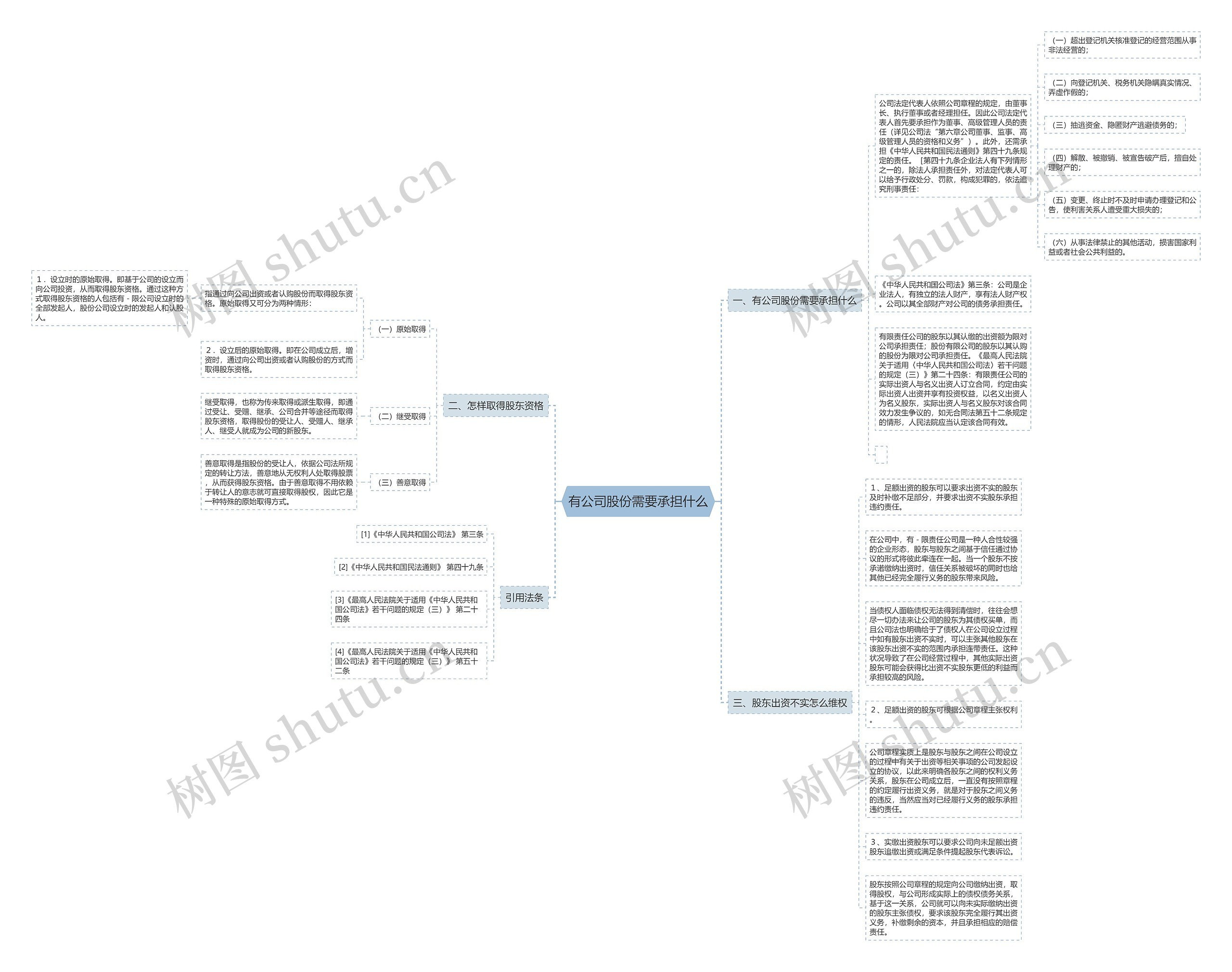 有公司股份需要承担什么思维导图