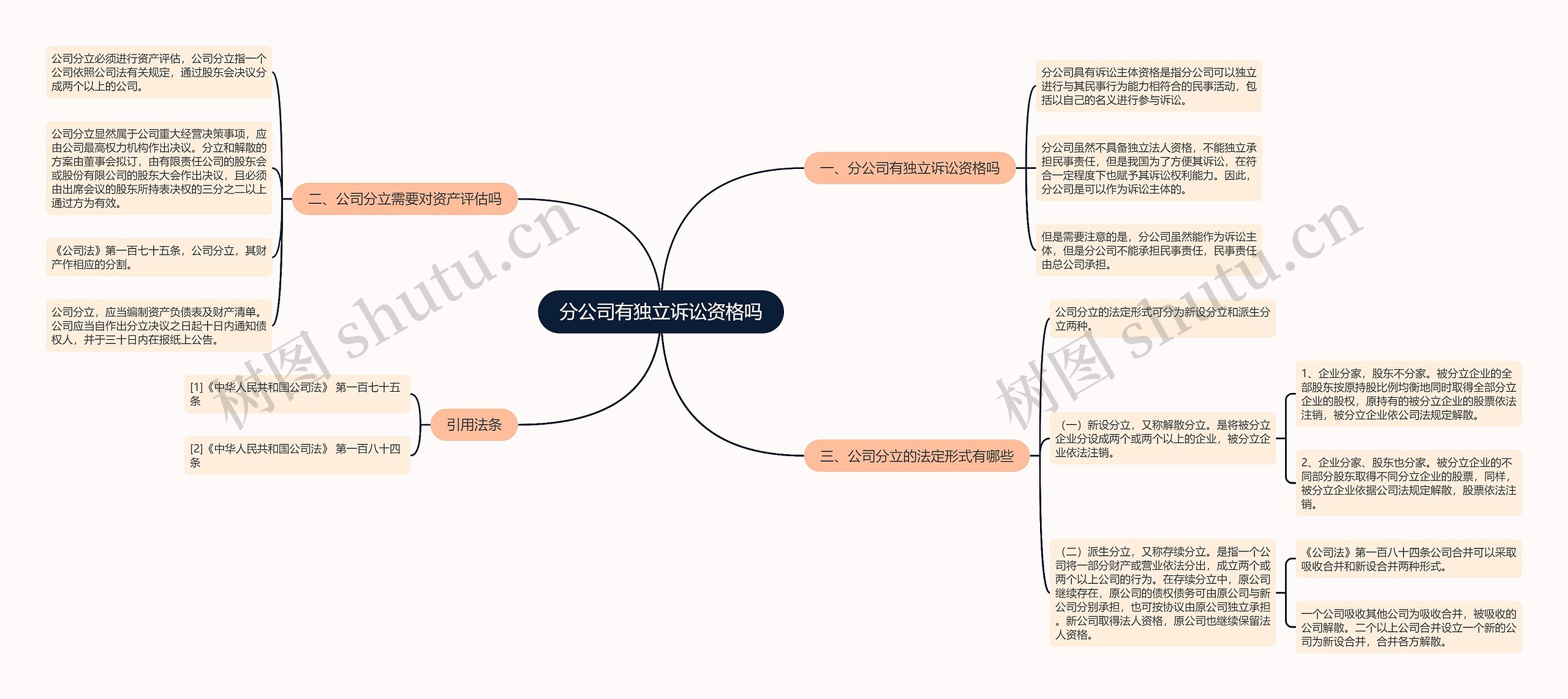 分公司有独立诉讼资格吗思维导图