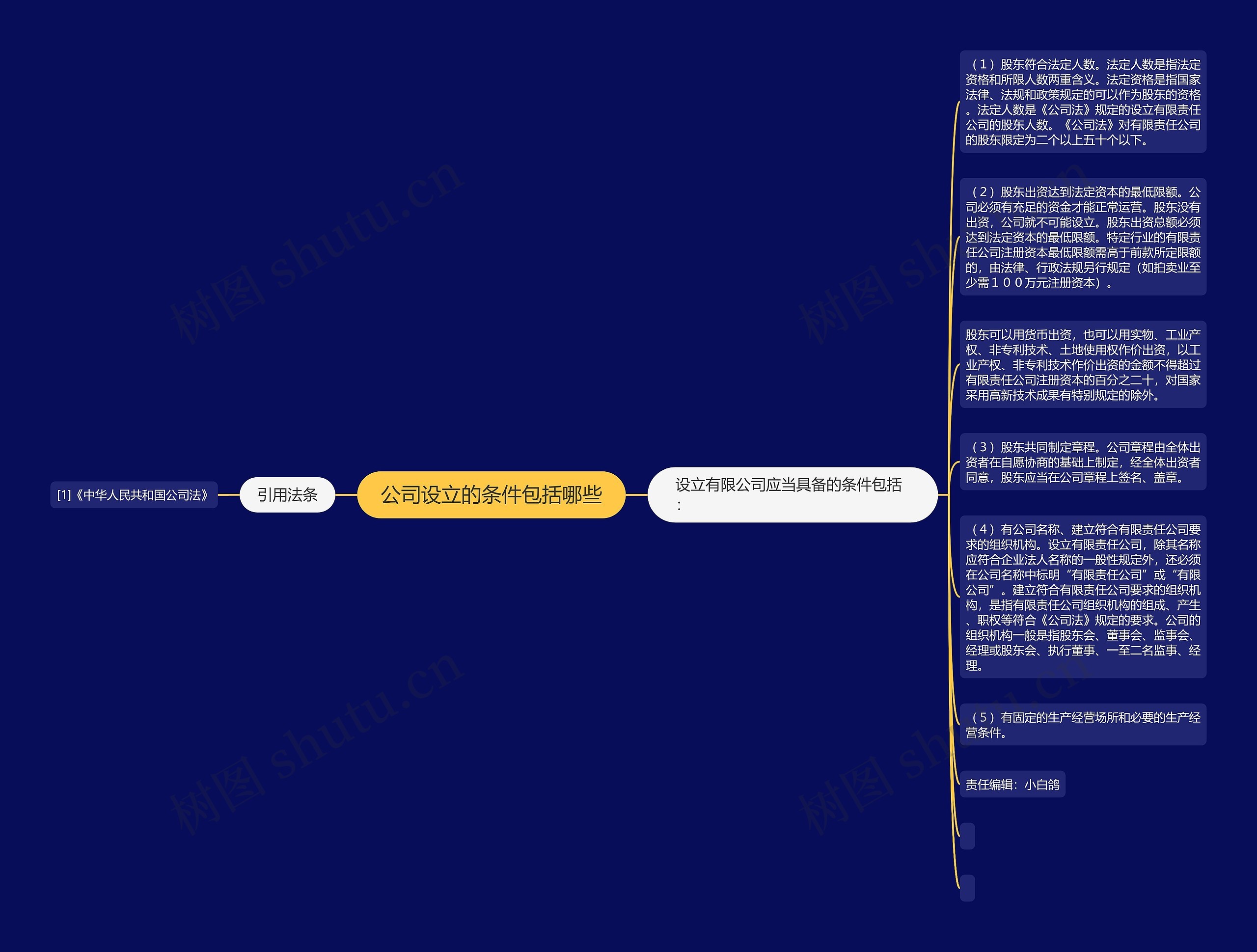 公司设立的条件包括哪些思维导图