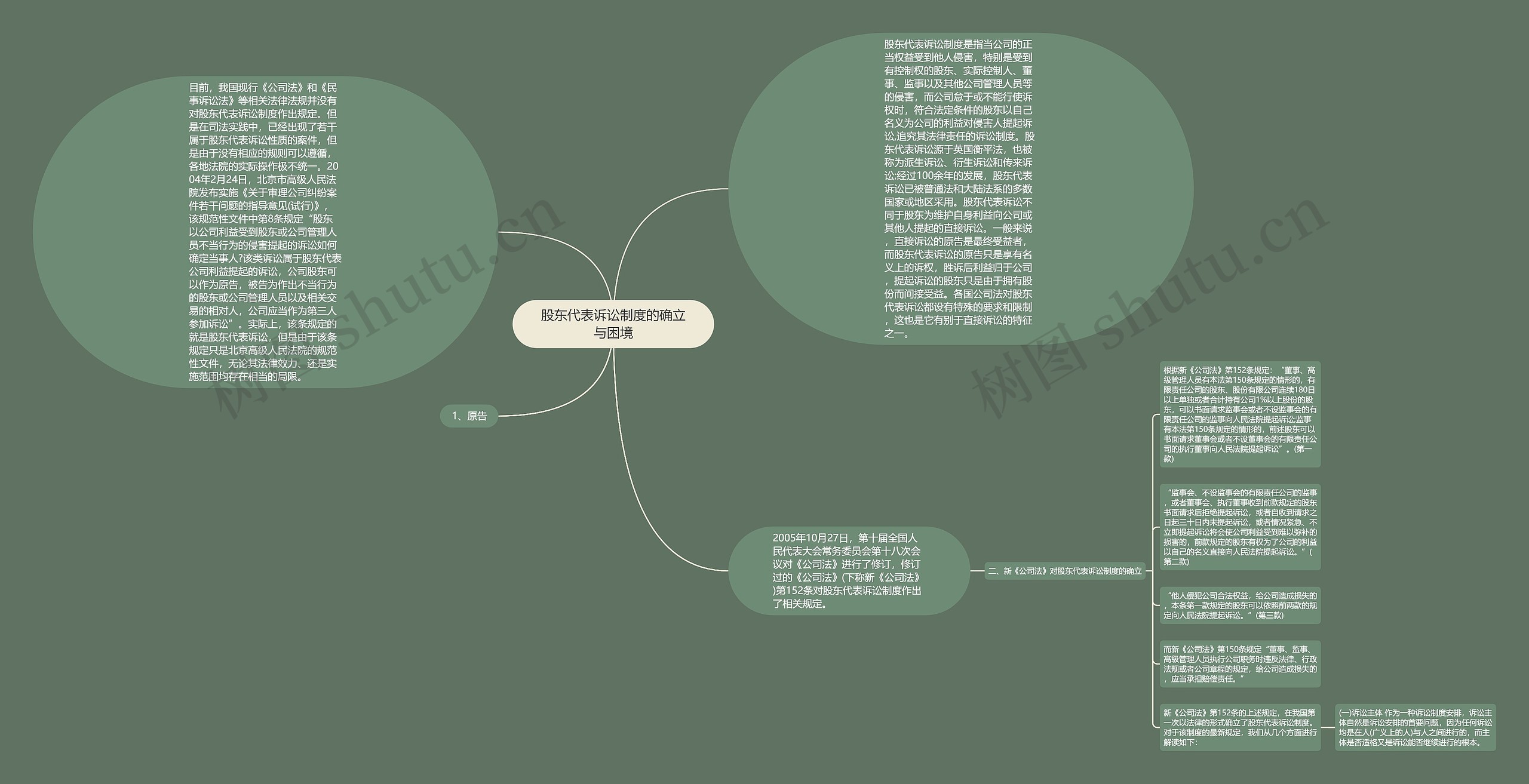 股东代表诉讼制度的确立与困境思维导图