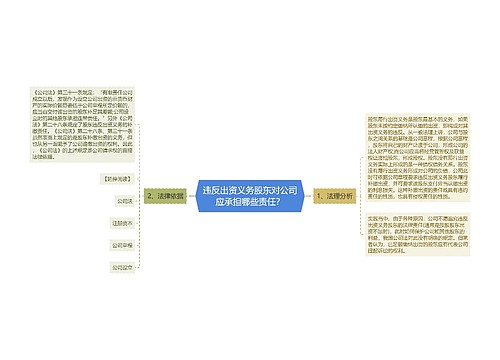 违反出资义务股东对公司应承担哪些责任？