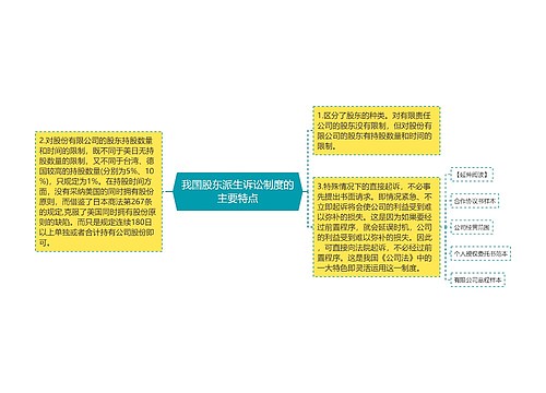 我国股东派生诉讼制度的主要特点