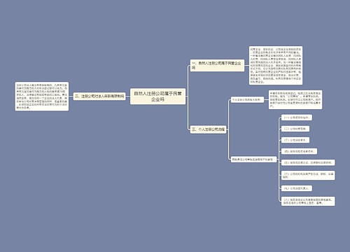 自然人注册公司属于民营企业吗