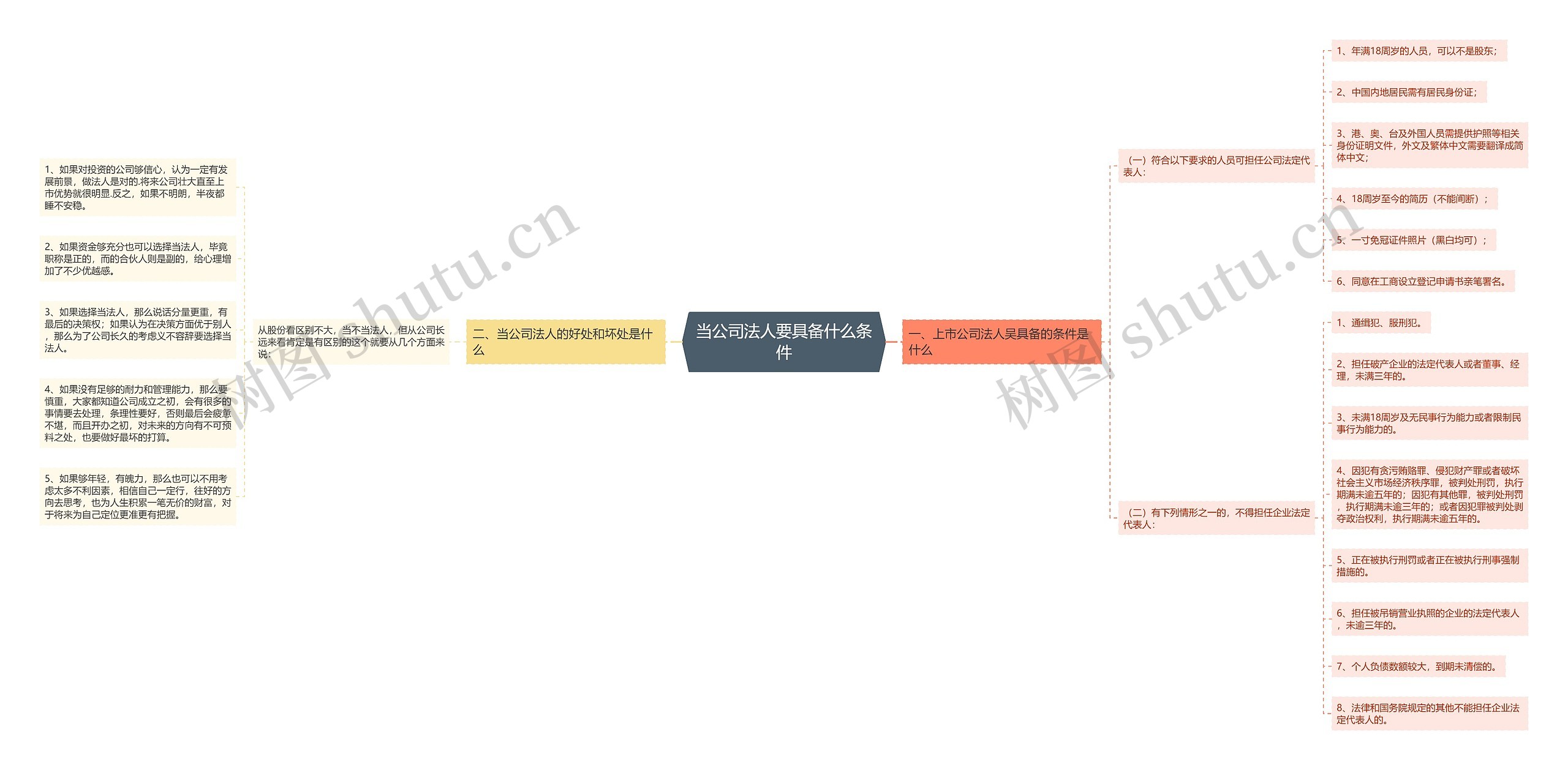 当公司法人要具备什么条件思维导图