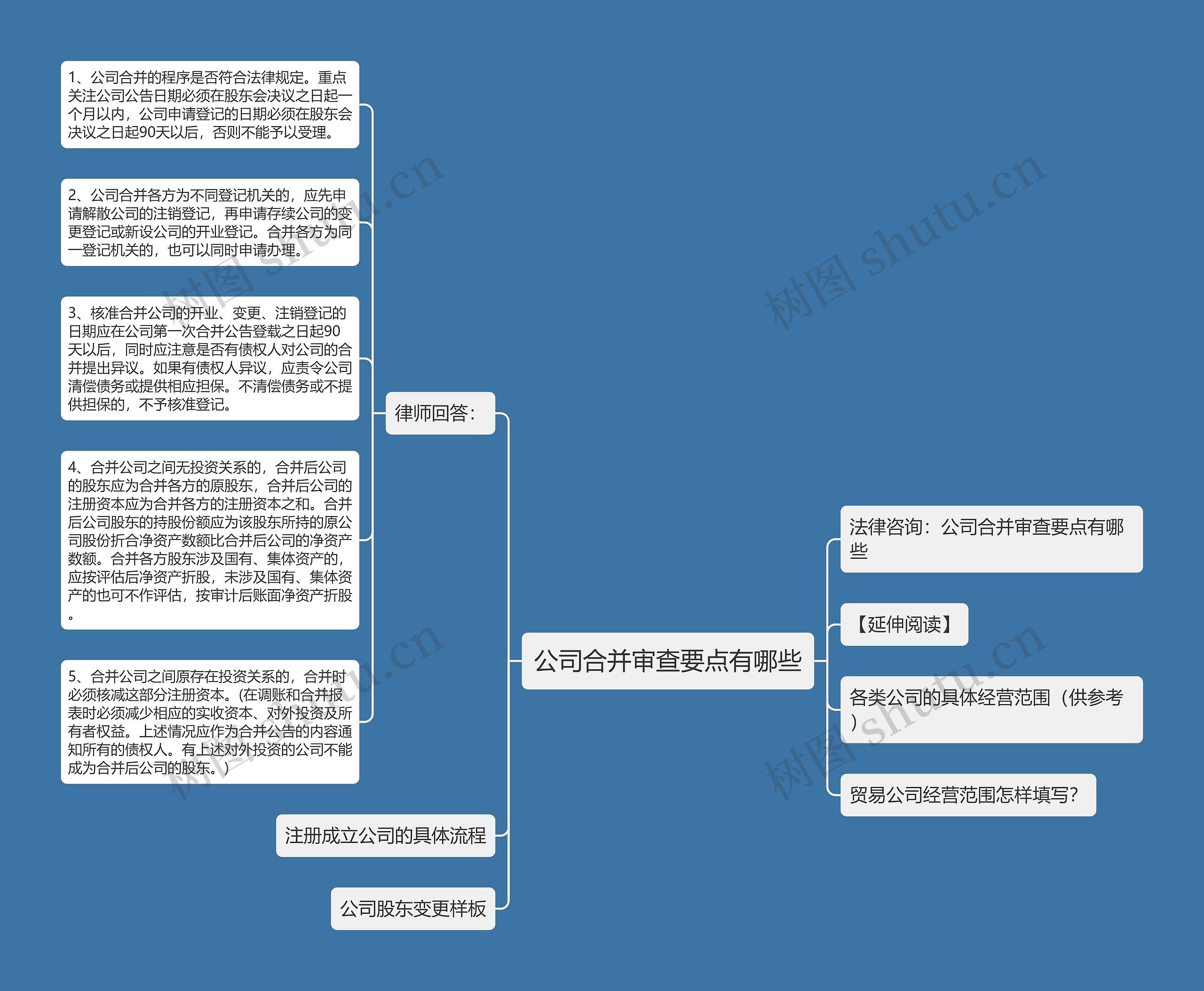 公司合并审查要点有哪些思维导图