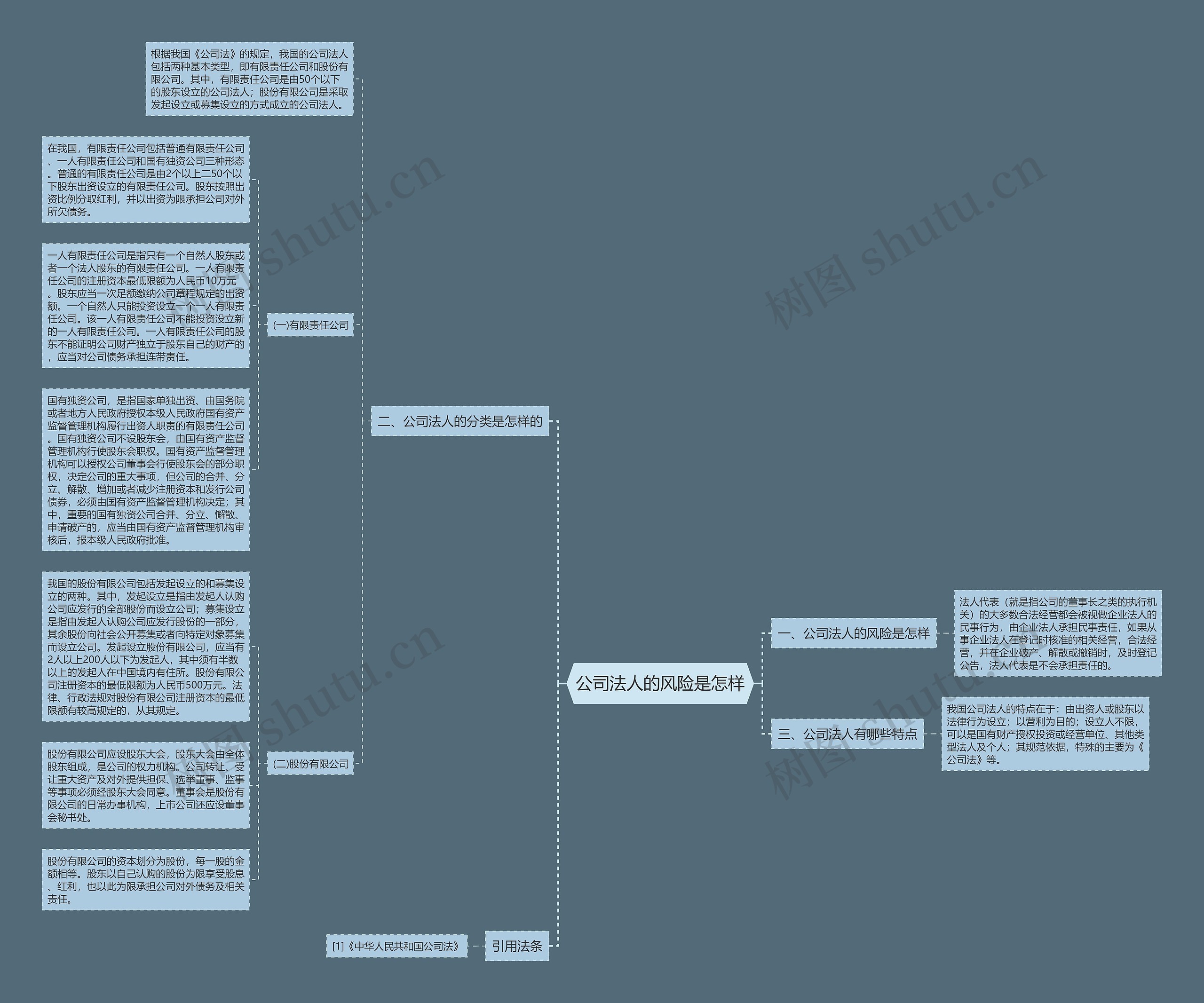公司法人的风险是怎样思维导图