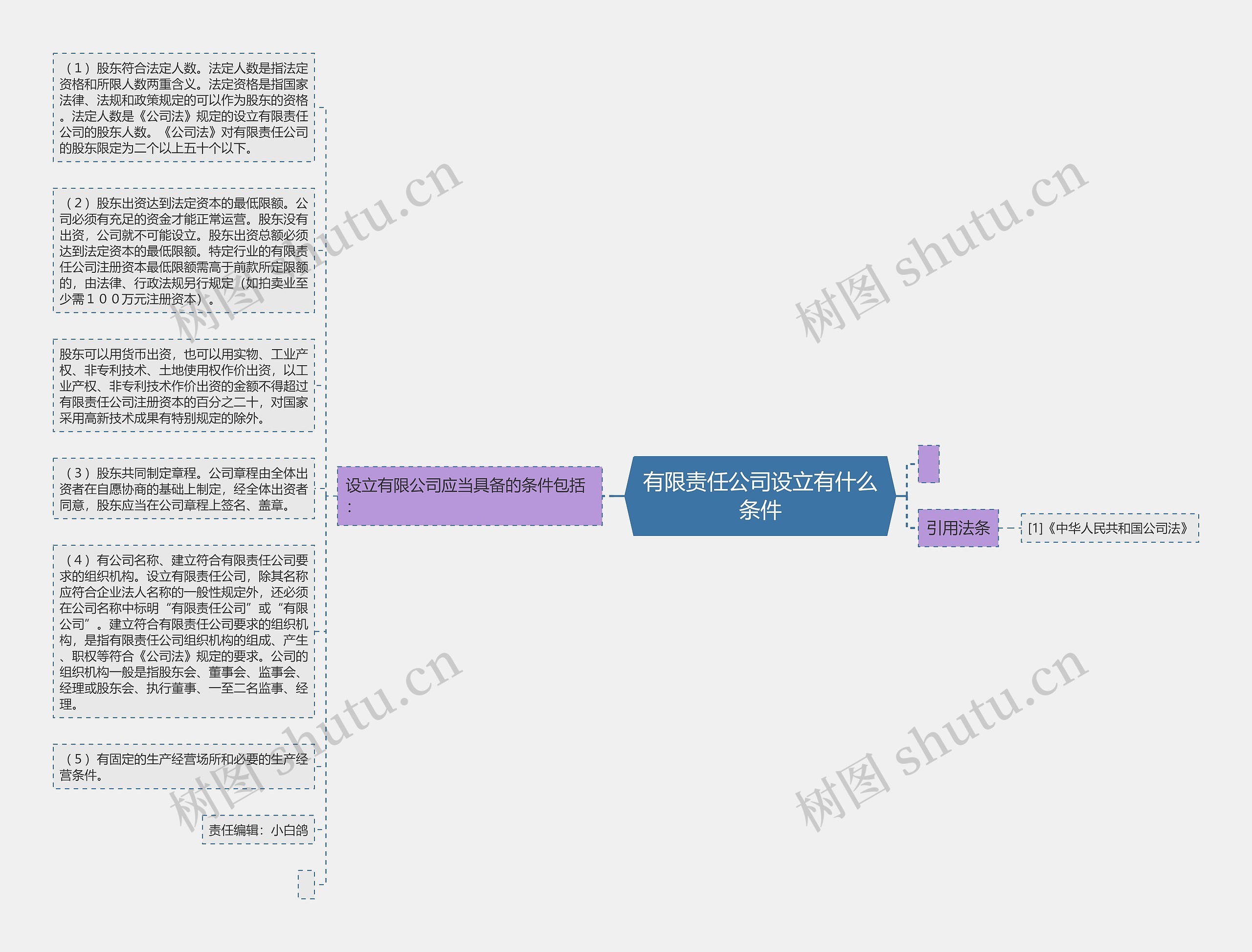 有限责任公司设立有什么条件