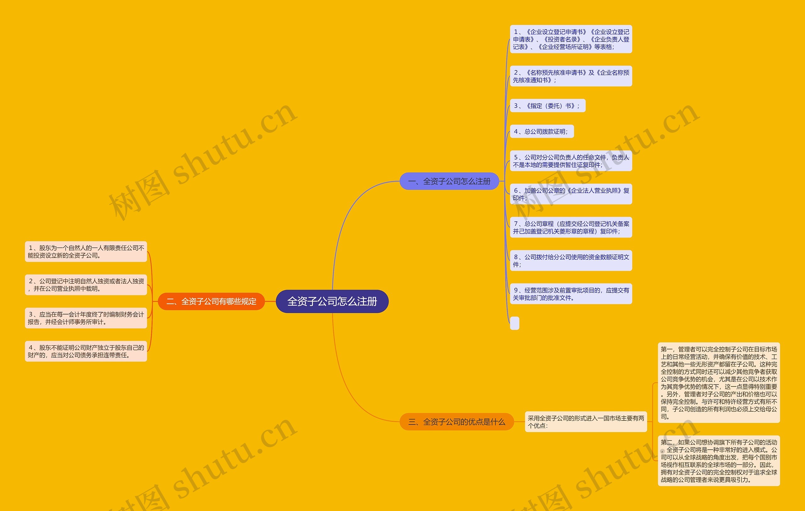 全资子公司怎么注册