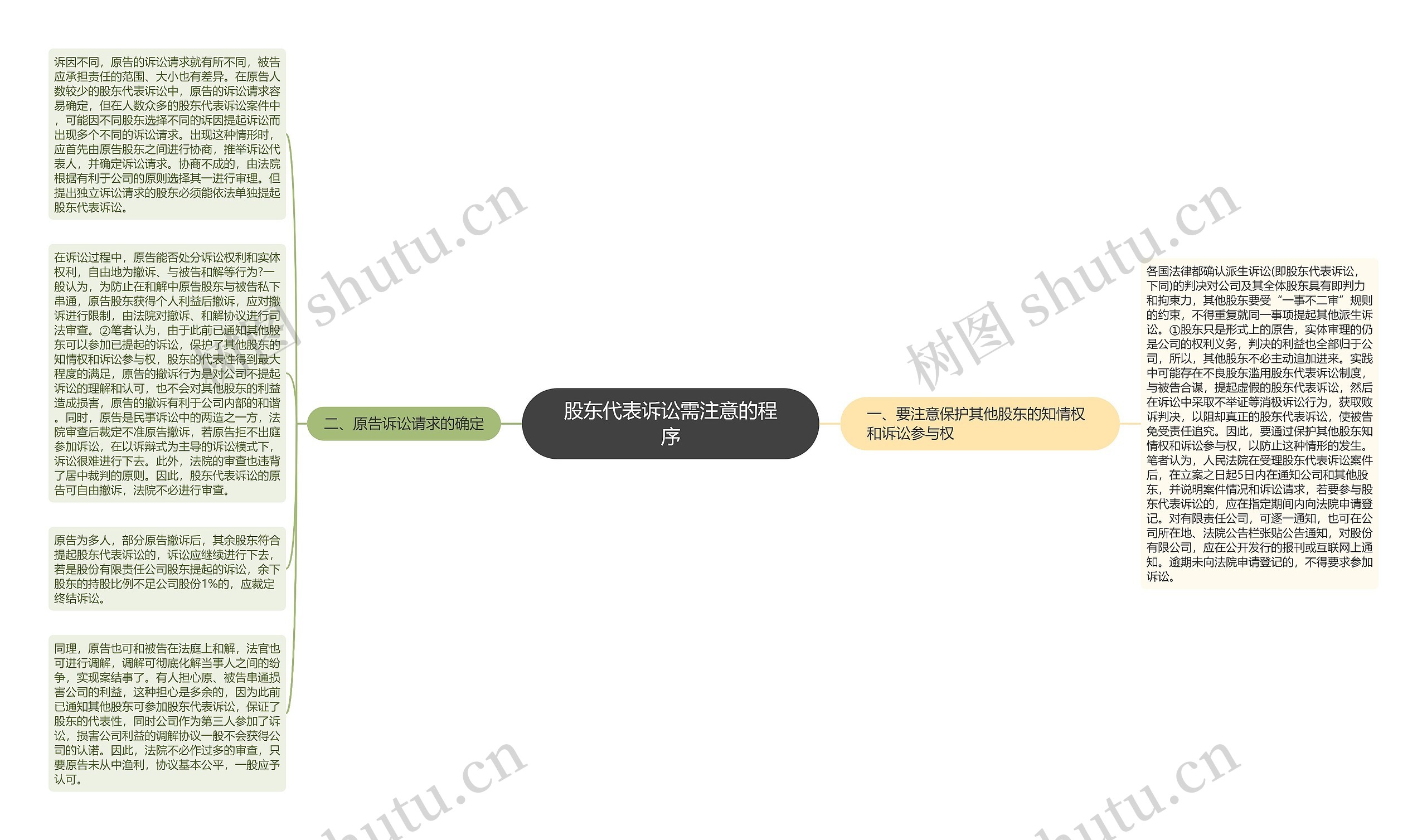 股东代表诉讼需注意的程序思维导图