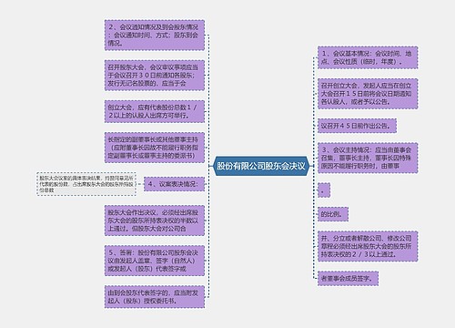 股份有限公司股东会决议