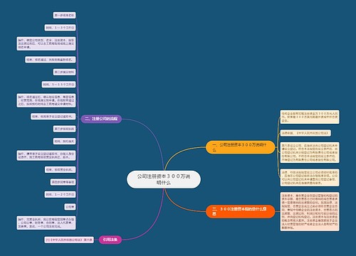 公司注册资本３００万说明什么