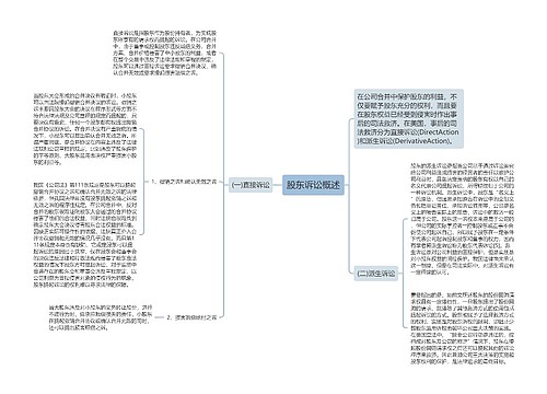 股东诉讼概述