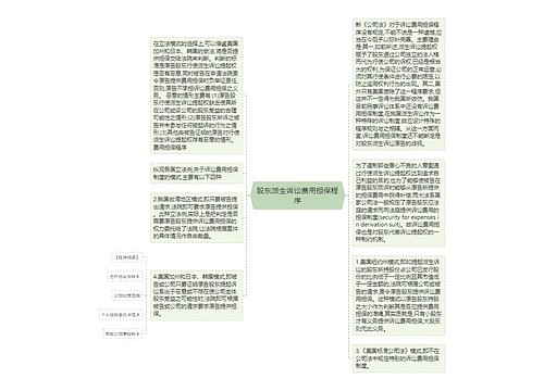 股东派生诉讼费用担保程序