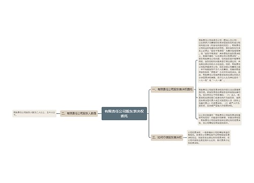 有限责任公司股东表决权委托