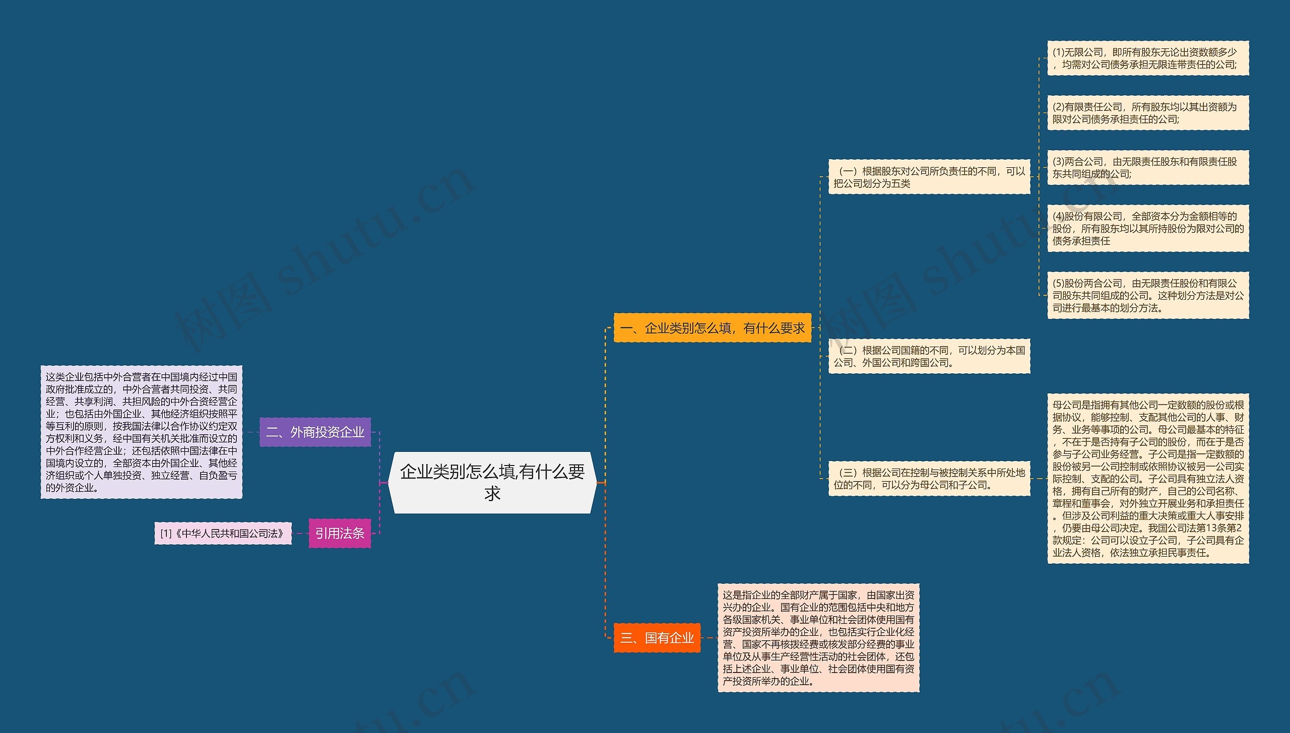 企业类别怎么填,有什么要求思维导图