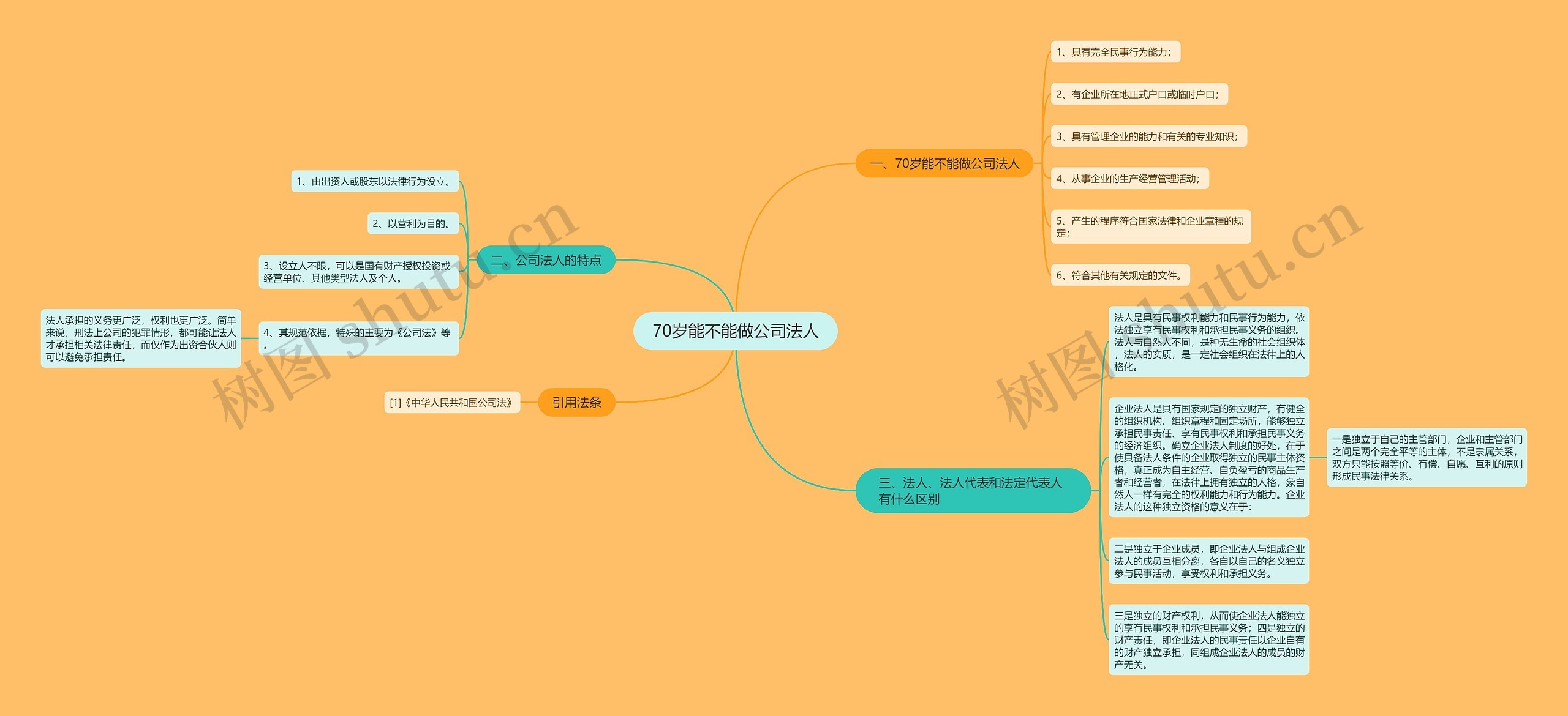 70岁能不能做公司法人思维导图