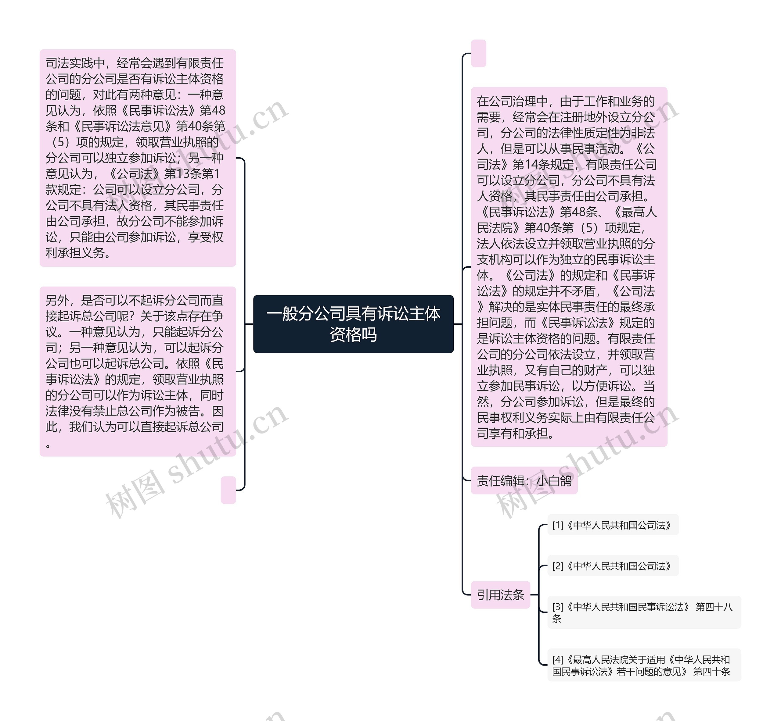 一般分公司具有诉讼主体资格吗思维导图