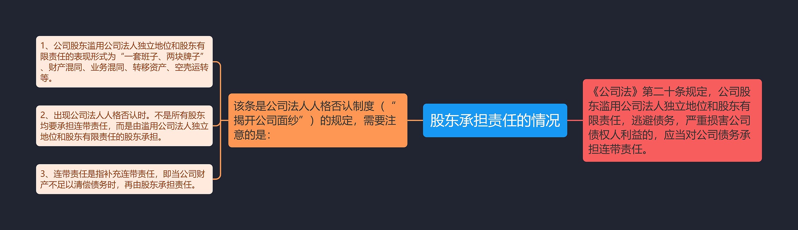 股东承担责任的情况