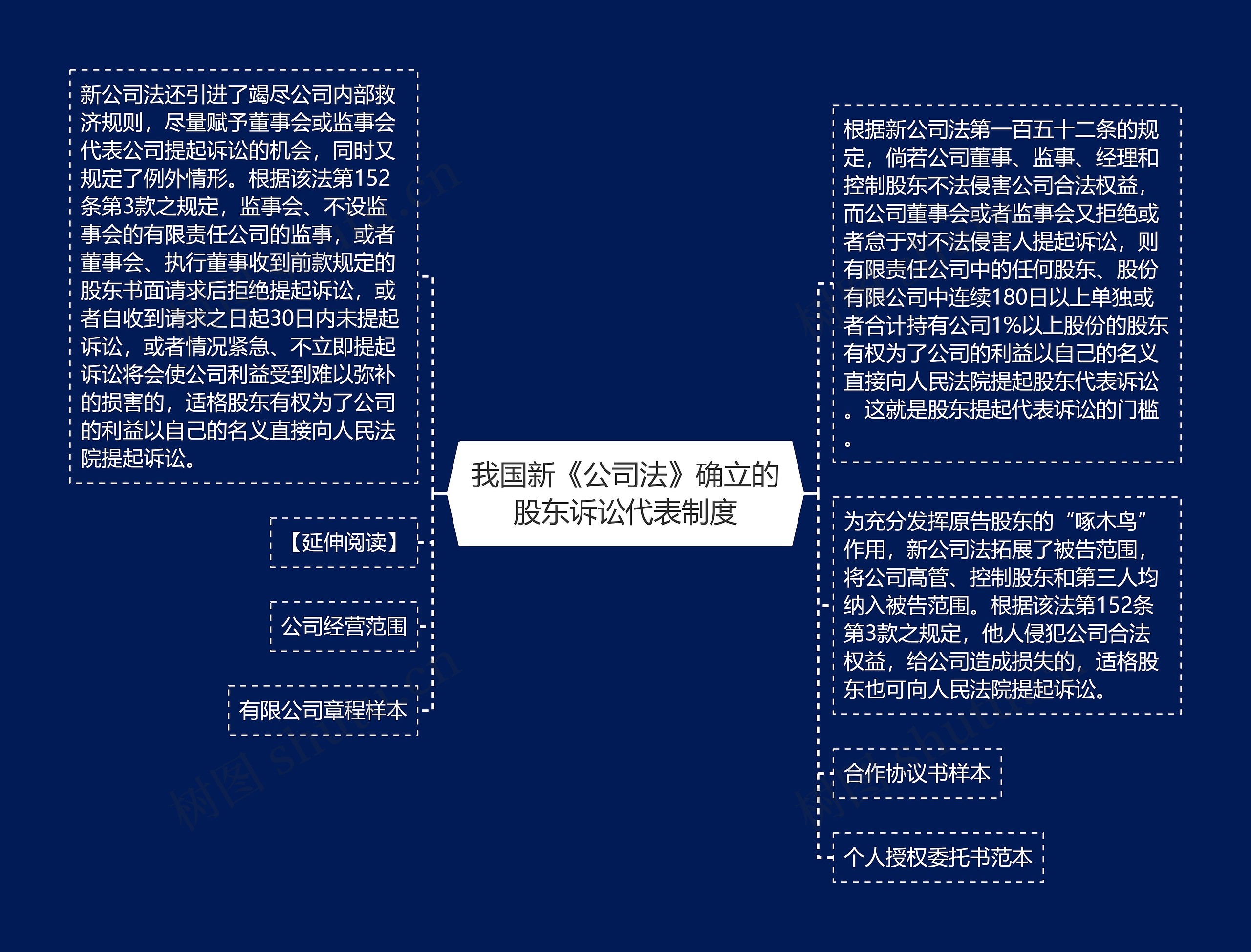 我国新《公司法》确立的股东诉讼代表制度