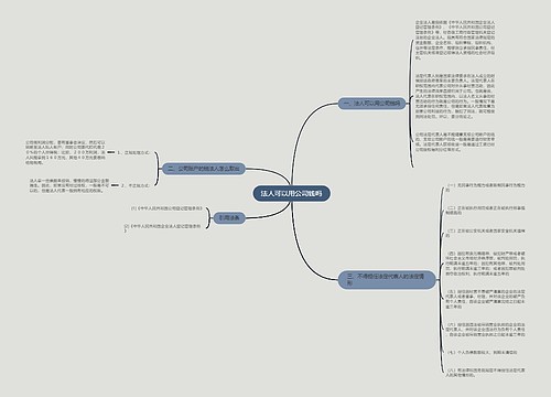 法人可以用公司钱吗