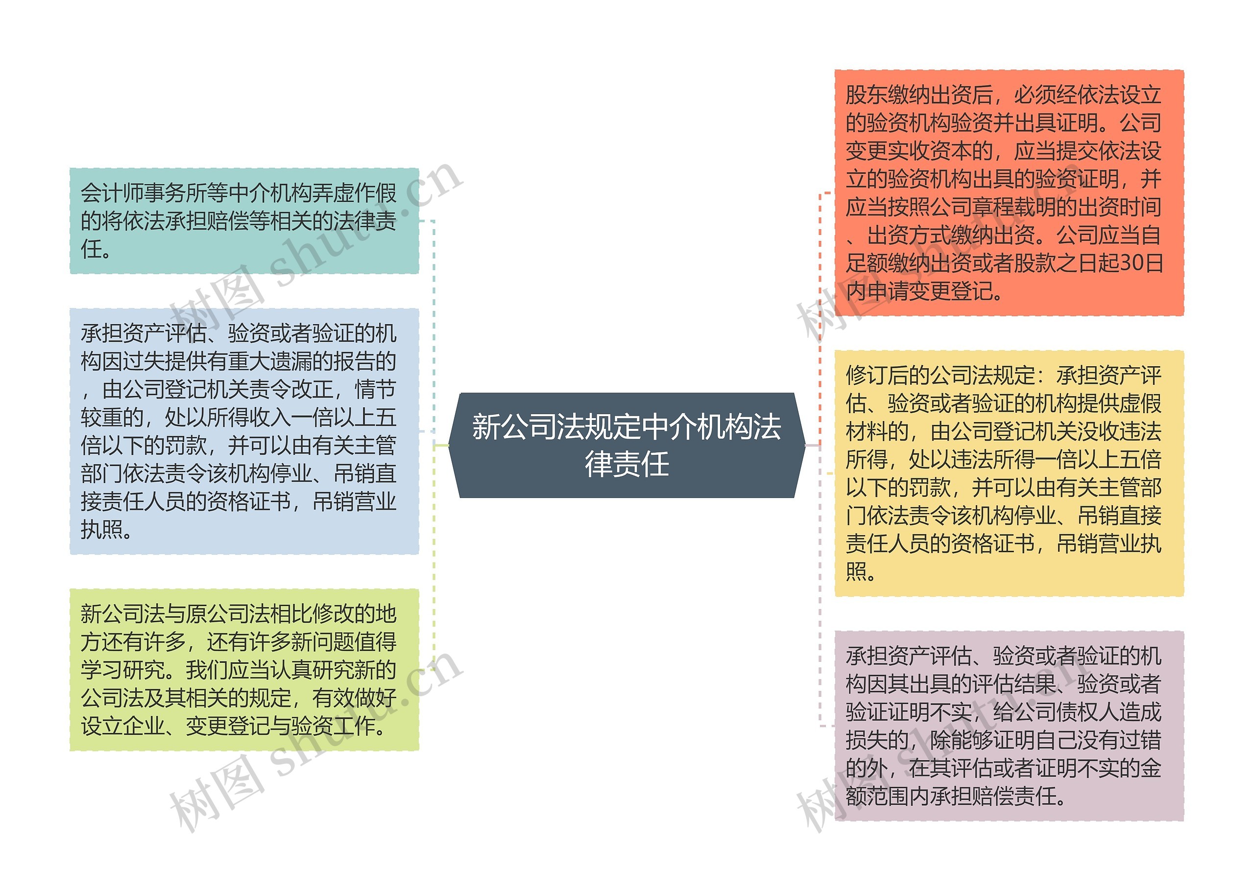 新公司法规定中介机构法律责任思维导图