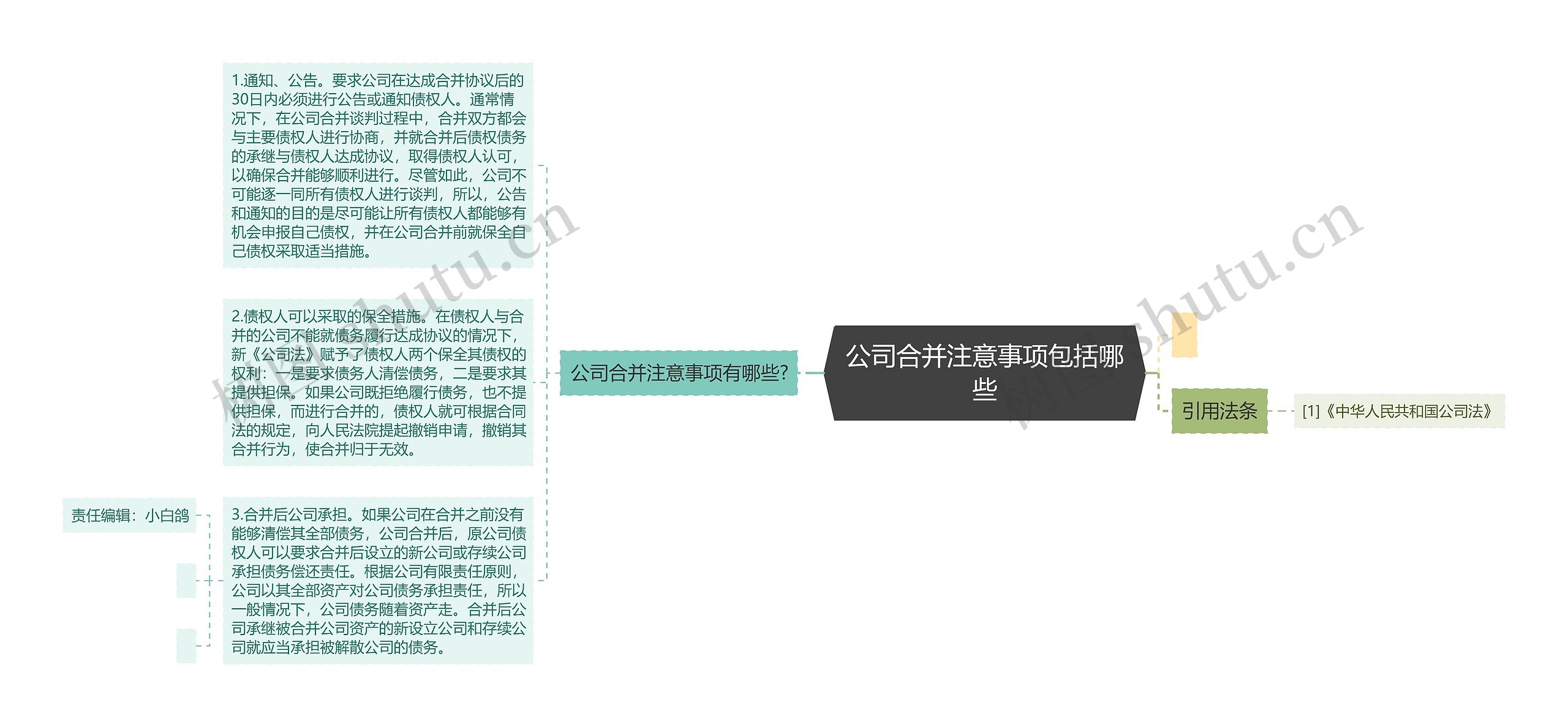 公司合并注意事项包括哪些