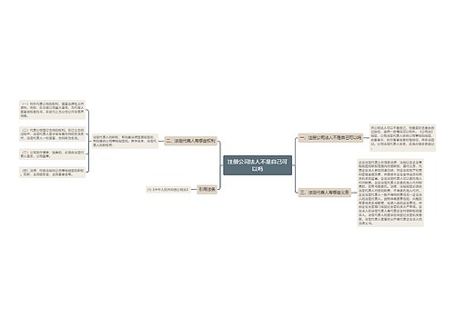 注册公司法人不是自己可以吗