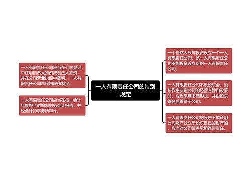 一人有限责任公司的特别规定